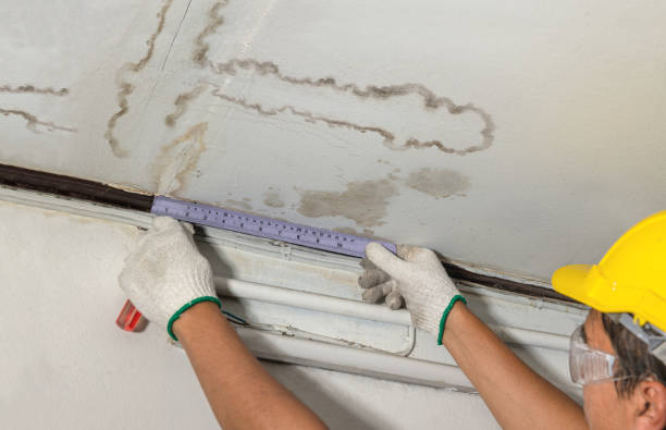 Reliable Mold Remediation contractor in Staples, CT by Water Damage Irwin